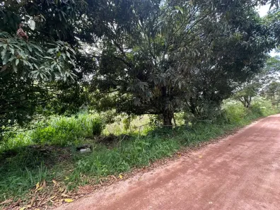 Lote/Terreno à venda, 3000000m² no , Lima Duarte
