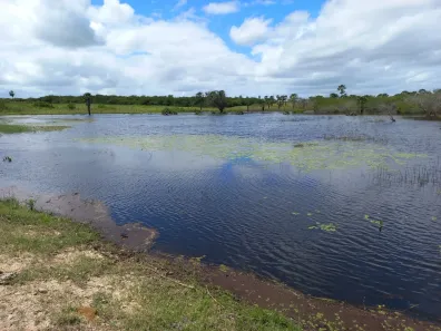 Fazenda/Sítio com 3 Quartos à venda, 120000m² no , Lagoa de Pedras