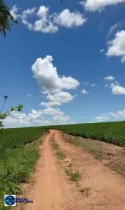 Fazenda/Sítio com 2 Quartos à venda, 44m² no Setor Montes Belos, São Luís de Montes Belos