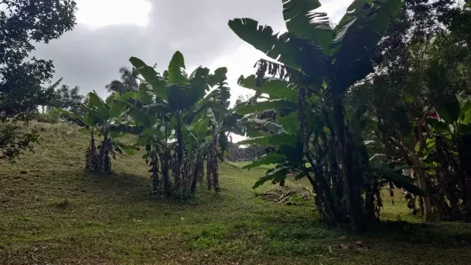 Fazenda/Sítio com 2 Quartos à venda, 6300m² no Mombaça, Itapecerica da Serra