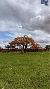 Fazenda/Sítio com 3 Quartos à venda, 447m² no Setor Central, São Miguel do Araguaia