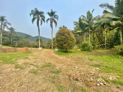 Lote/Terreno à venda, 35000m² no Bracinho, Apiúna