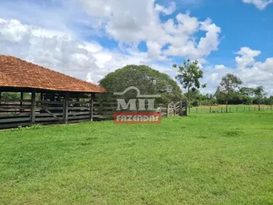Fazenda/Sítio à venda, 1m² no Centro, Porangatu