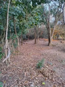 à venda, 1000m² no Parque dos Flamboyant, São Carlos