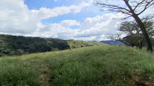 Fazenda/Sítio com 3 Quartos à venda, 200000m² no Centro, São Lourenço