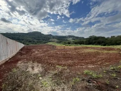 Fazenda/Sítio com 1 Quarto à venda, 1m² no Selva, Londrina