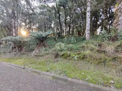 Lote/Terreno à venda, 745m² no Pinheiro Grosso, Canela
