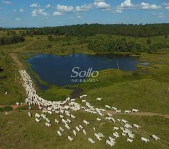 Ponto Comercial com 4 Quartos à venda, 10m² no , Campo Florido