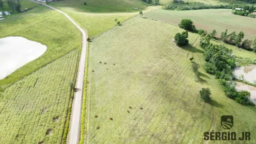 Fazenda/Sítio à venda, 70000m² no , Triunfo