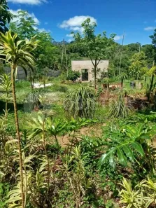 Fazenda/Sítio com 1 Quarto à venda, 20m² no Shopping Park, Uberlândia