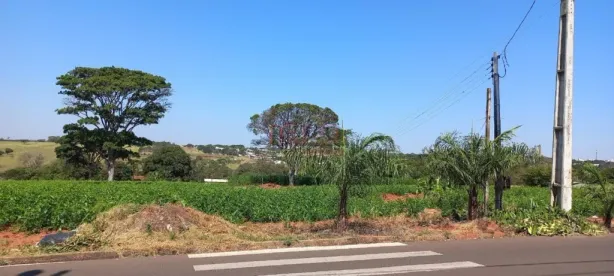 Lote/Terreno à venda, 74516m² no Nova Esperança, Nova Esperança