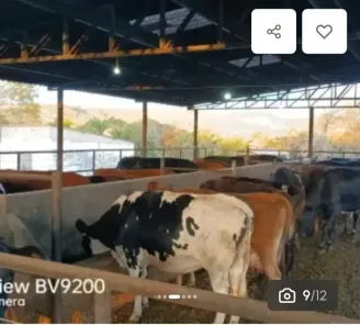 Fazenda/Sítio à venda, 900000m² no , Alexânia