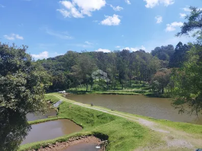 Fazenda/Sítio com 3 Quartos à venda, 39545m² no Tamandaré, Garibaldi