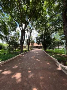 Fazenda/Sítio com 3 Quartos à venda, 5000m² no Itanhangá Chácaras de Recreio, Ribeirão Preto