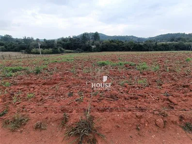 Lote/Terreno à venda, 40000m² no Área Rural de Mogi Guaçu, Mogi Guaçu