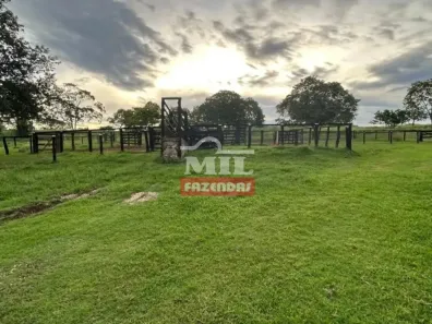 Fazenda/Sítio à venda, 500m² no , Matrinchã