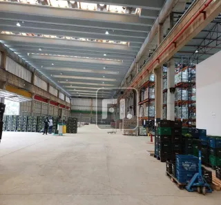 Galpão/Depósito/Armazém para alugar, 8104m² no Cidade Jardim Cumbica, Guarulhos