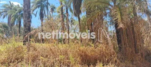 Lote/Terreno à venda, 34000m² no Braúnas, Belo Horizonte