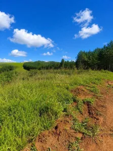 Fazenda/Sítio com 1 Quarto à venda, 9269378m² no Centro, Campo Largo