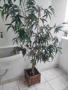 Sala Comercial com 4 Quartos para alugar, 56m² no Cidade Mãe do Céu, São Paulo