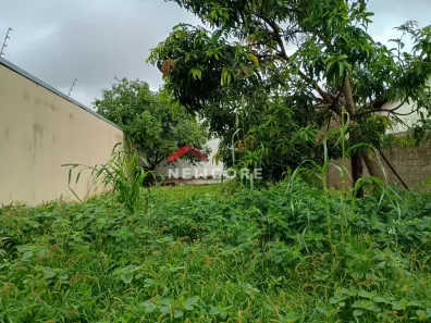 Lote/Terreno à venda, 250m² no Jardim das Palmeiras, Uberlândia