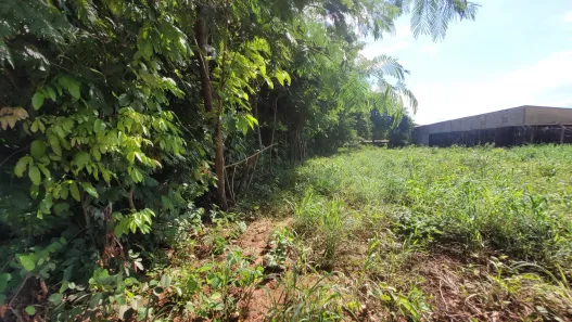 Lote/Terreno à venda, 1116m² no Luzimangues, Porto Nacional