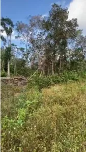 Lote/Terreno à venda, 300m² no Cibratel - Chácaras, Itanhaém