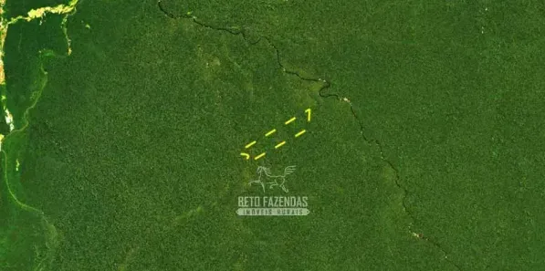 Fazenda/Sítio à venda, 177900000m² no , Novo Aripuanã