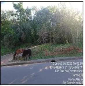 Lote/Terreno à venda, 7406m² no Camaquã, Porto Alegre