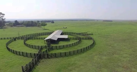 Fazenda/Sítio com 7 Quartos à venda no , Goiatins