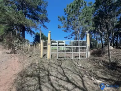 Galpão/Depósito/Armazém para alugar, 2700m² no Pau Arcado, Campo Limpo Paulista