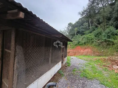 Fazenda/Sítio com 2 Quartos à venda, 23279m² no Centro, Pinto Bandeira