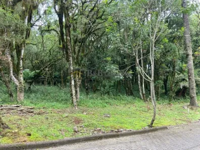 Lote/Terreno à venda, 665m² no Pinheiro Grosso, Canela