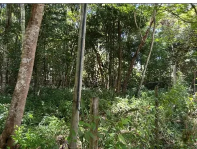 Lote/Terreno à venda, 3800m² no Trancoso, Porto Seguro