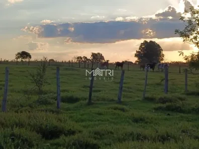 Lote/Terreno à venda, 33000m² no Condomínio Satélite, Araraquara