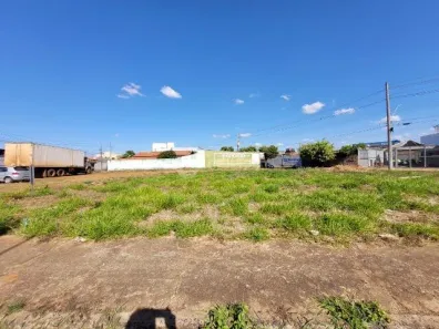Lote/Terreno para alugar, 650m² no Vigilato Pereira, Uberlândia