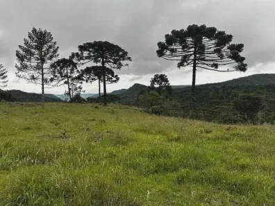 Lote/Terreno à venda, 20000m² no , Urubici