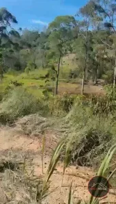 Lote/Terreno à venda, 6000m² no Biritiba Ussu, Mogi das Cruzes