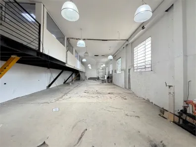 Galpão/Depósito/Armazém com 3 Quartos para alugar, 300m² no Vila Romana, São Paulo