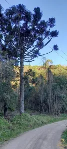 Lote/Terreno à venda, 15m² no Vila Olinda, Nova Petrópolis