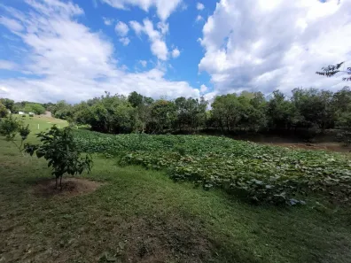 Fazenda/Sítio com 3 Quartos à venda, 10000m² no Centro, Viamão