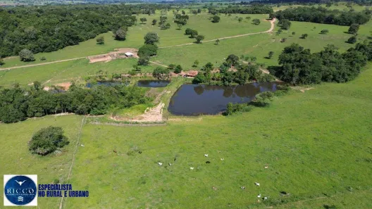 Fazenda/Sítio com 3 Quartos à venda, 10m² no Setor Central, Heitoraí