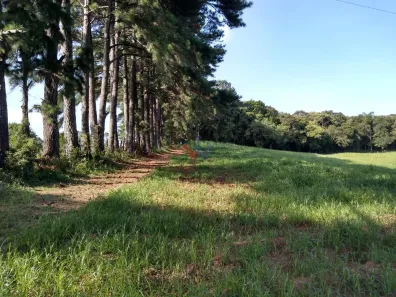 Lote/Terreno à venda, 11m² no São Miguel, Curitiba