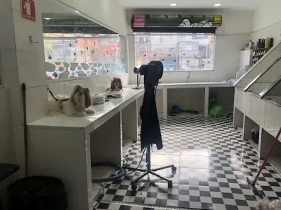 Ponto Comercial à venda, 158m² no Vila Renato (Zona Leste), São Paulo