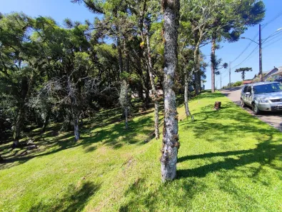 Lote/Terreno à venda, 595m² no Centro, Canela