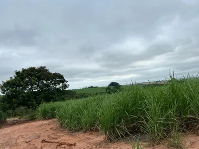 Fazenda/Sítio à venda, 4m² no , Martinópolis