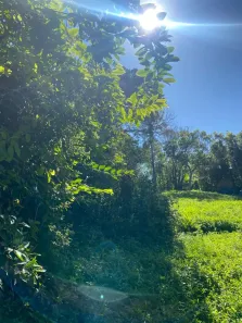 Lote/Terreno à venda, 3716m² no Praia da Silveira, Garopaba