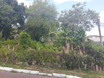 Lote/Terreno à venda, 751m² no São Jorge, Novo Hamburgo