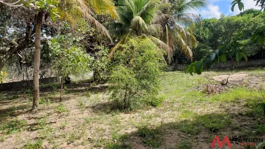 Lote/Terreno à venda, 2400m² no Pium (Distrito Litoral), Parnamirim
