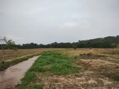 Fazenda/Sítio com 2 Quartos à venda, 80m² no , Angatuba
